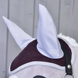 Ensemble Violet