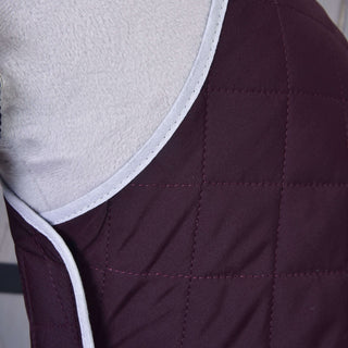 Ensemble Violet