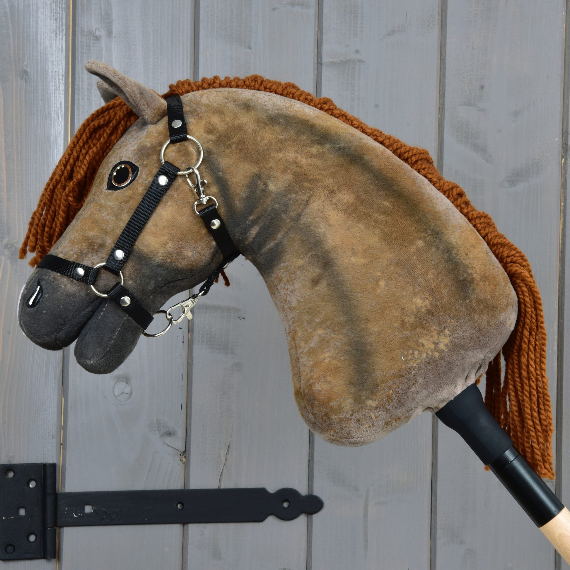 Hobby Horse Rafaello with Black Halter - size S