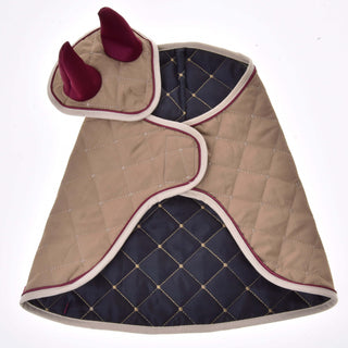 Ensemble Roma