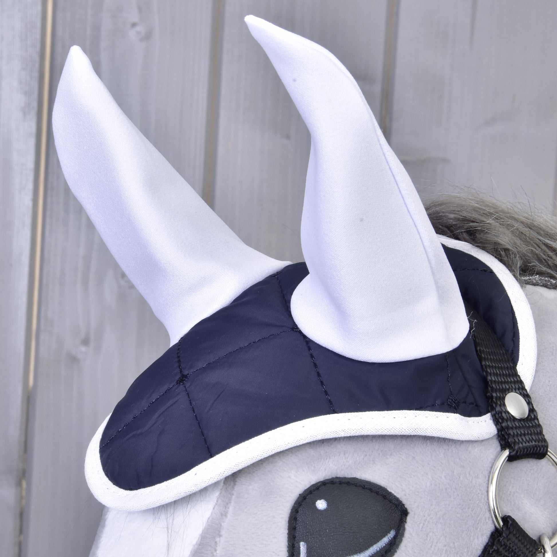 Ensemble Équitation