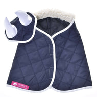 Ensemble Thermo Bleu