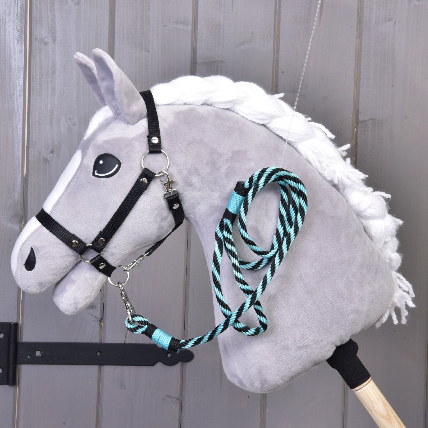 Hobby Horse - Leash green stripe 1