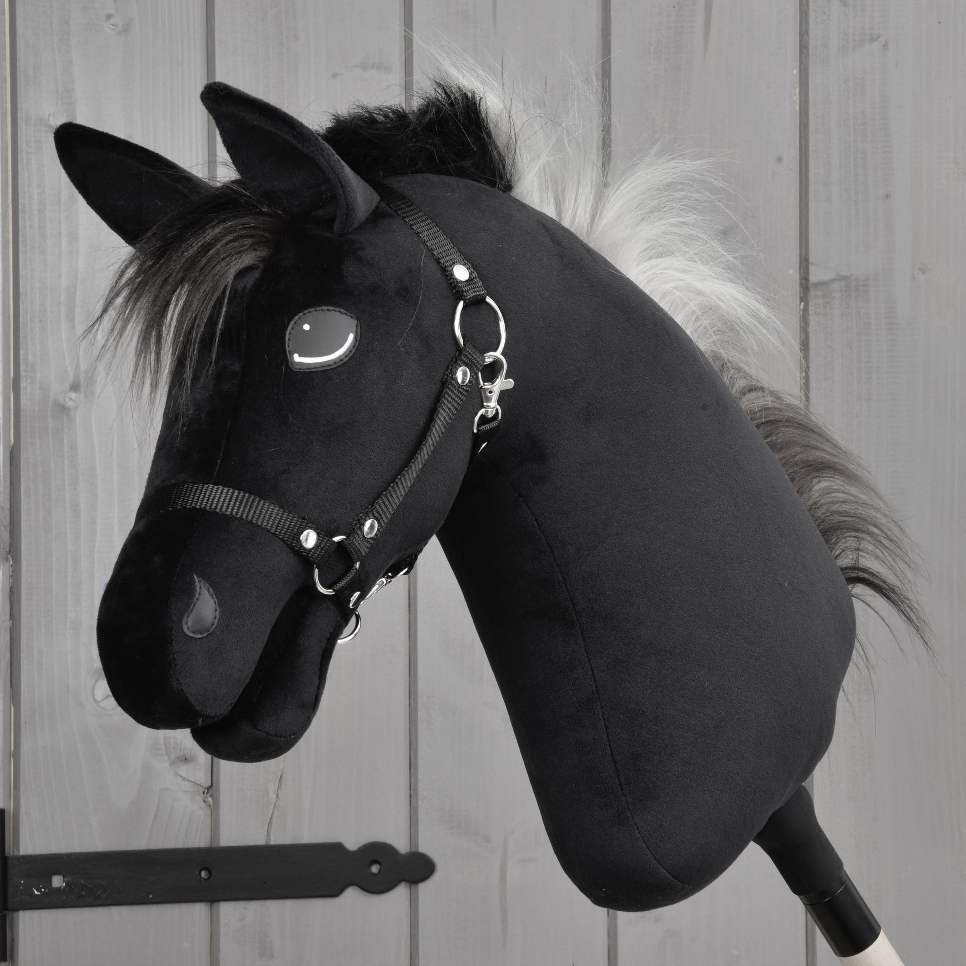 Hobby Horse Bond avec licol noir