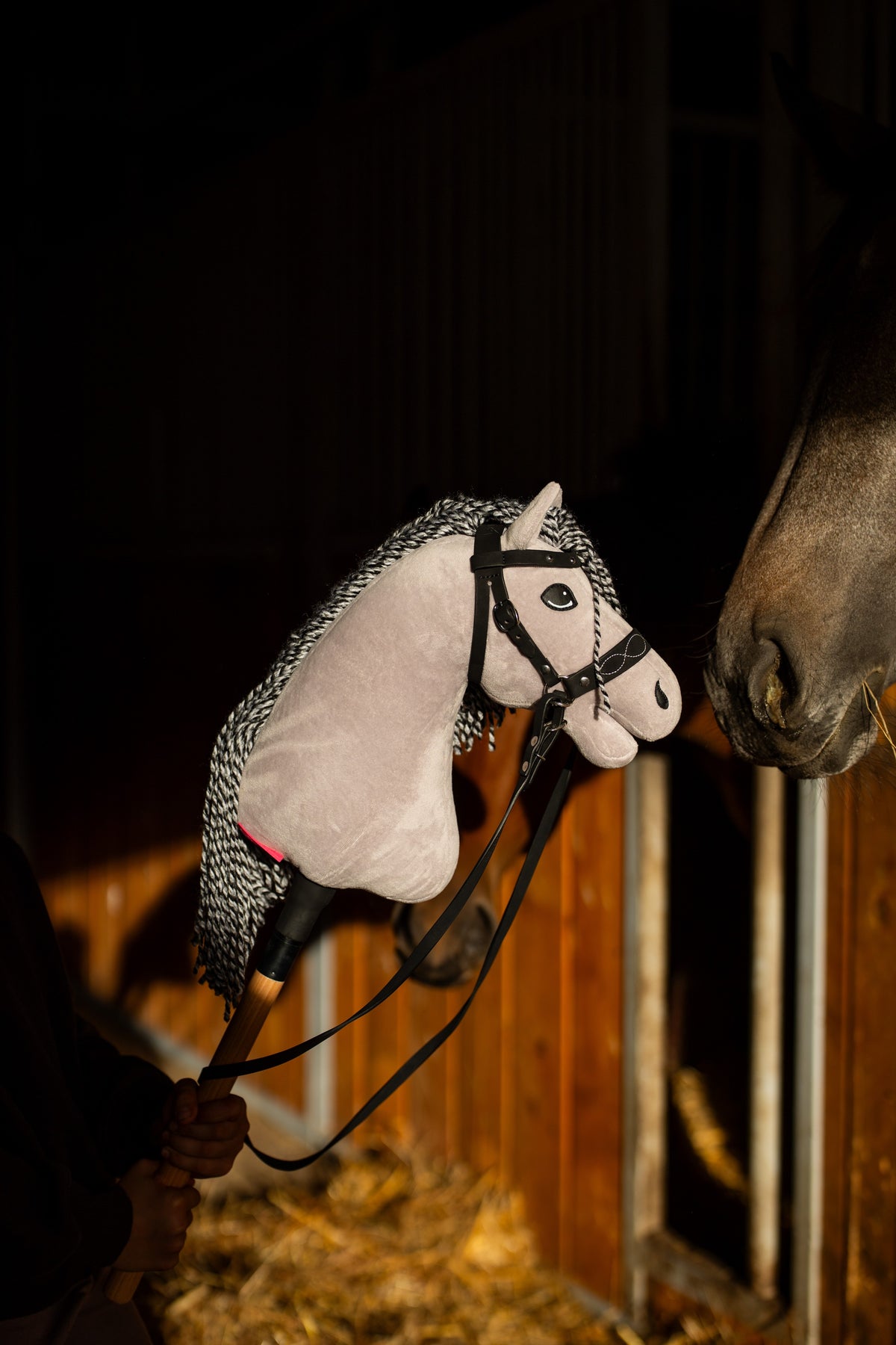 Le Hobby Horse Caesar avec une bride noire et des rênes, face au museau d'un vrai cheval dans une écurie sombre baignée de soleil