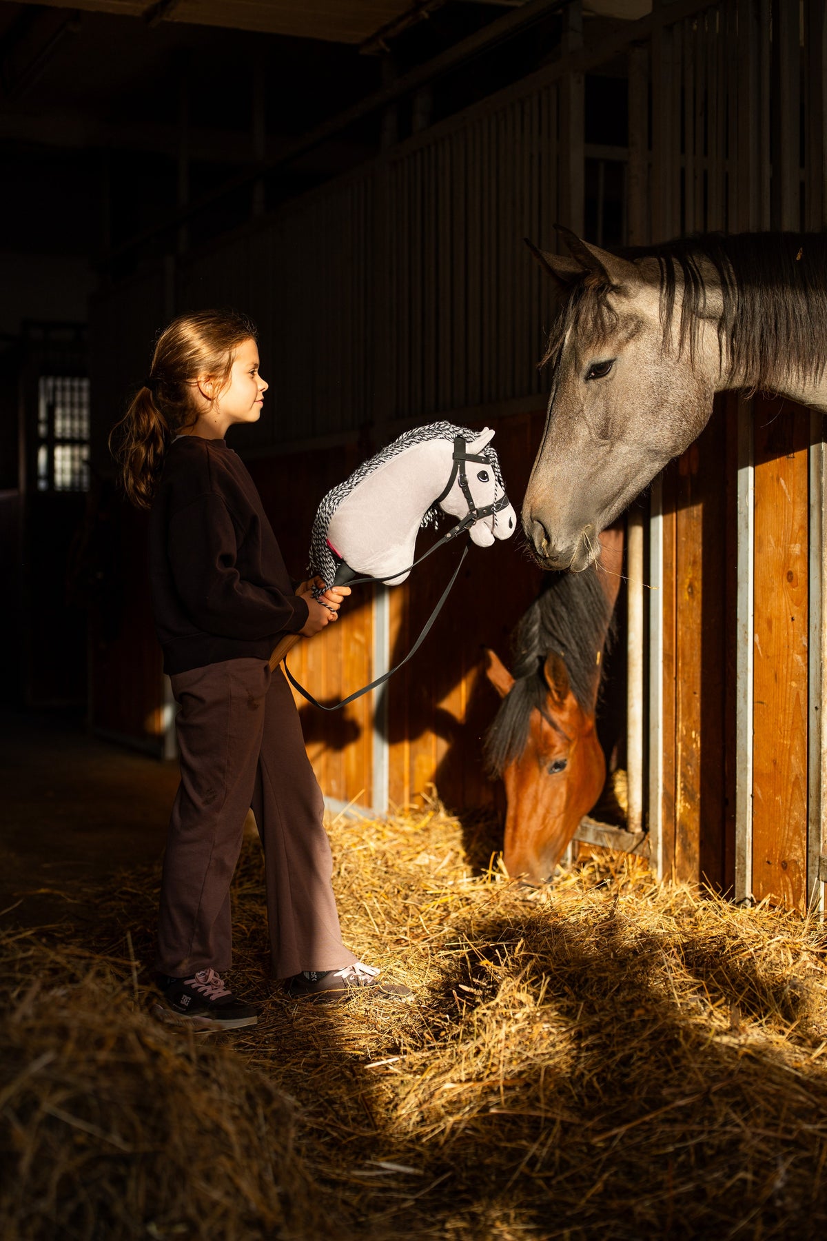 Fille en sweat foncé dans une écurie approchant le Hobby Horse Caesar avec bride noire d’un cheval gris dans son box
