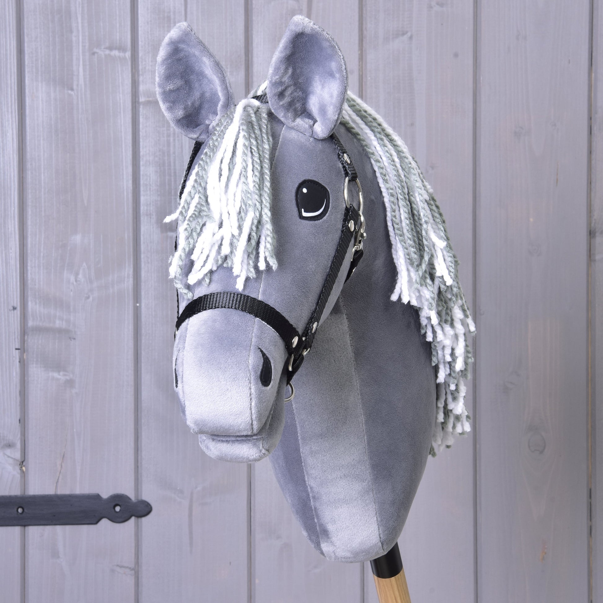 Hobby Horse Calypso with Black Halter