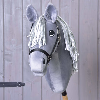 Hobby Horse Calypso with Black Halter