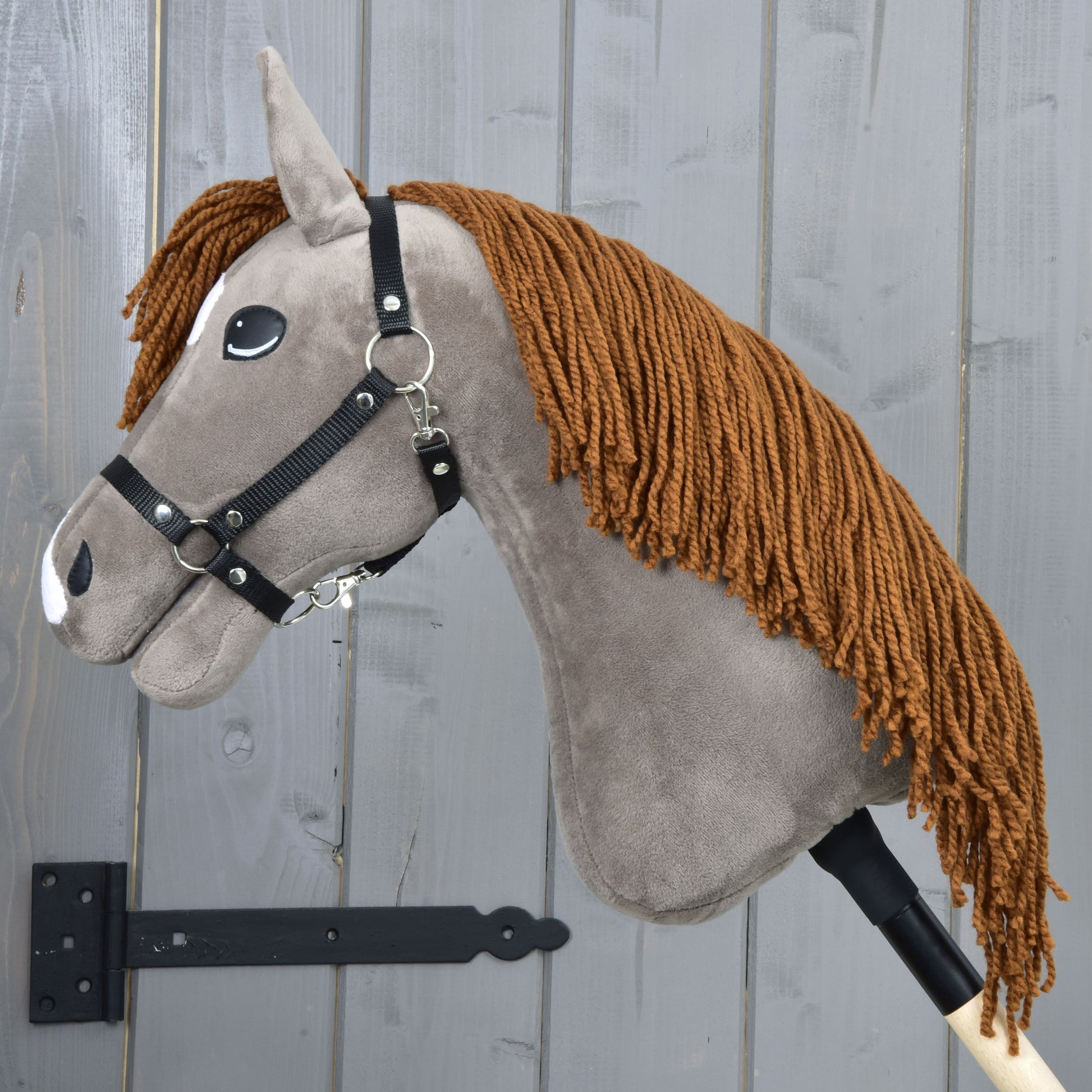 Hobby Horse Chanell with Black Halter