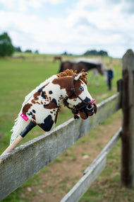 Le Hobby Horse Dakota avec Licol noir de Hobby Horse LarDen est posé sur une clôture de paddock en bois, un cheval au pâturage et une personne à cheval dans le champ derrière, tête en peluche pie marron et blanche, crinière en fil blanc et œil bleu, avec le licol en corde York