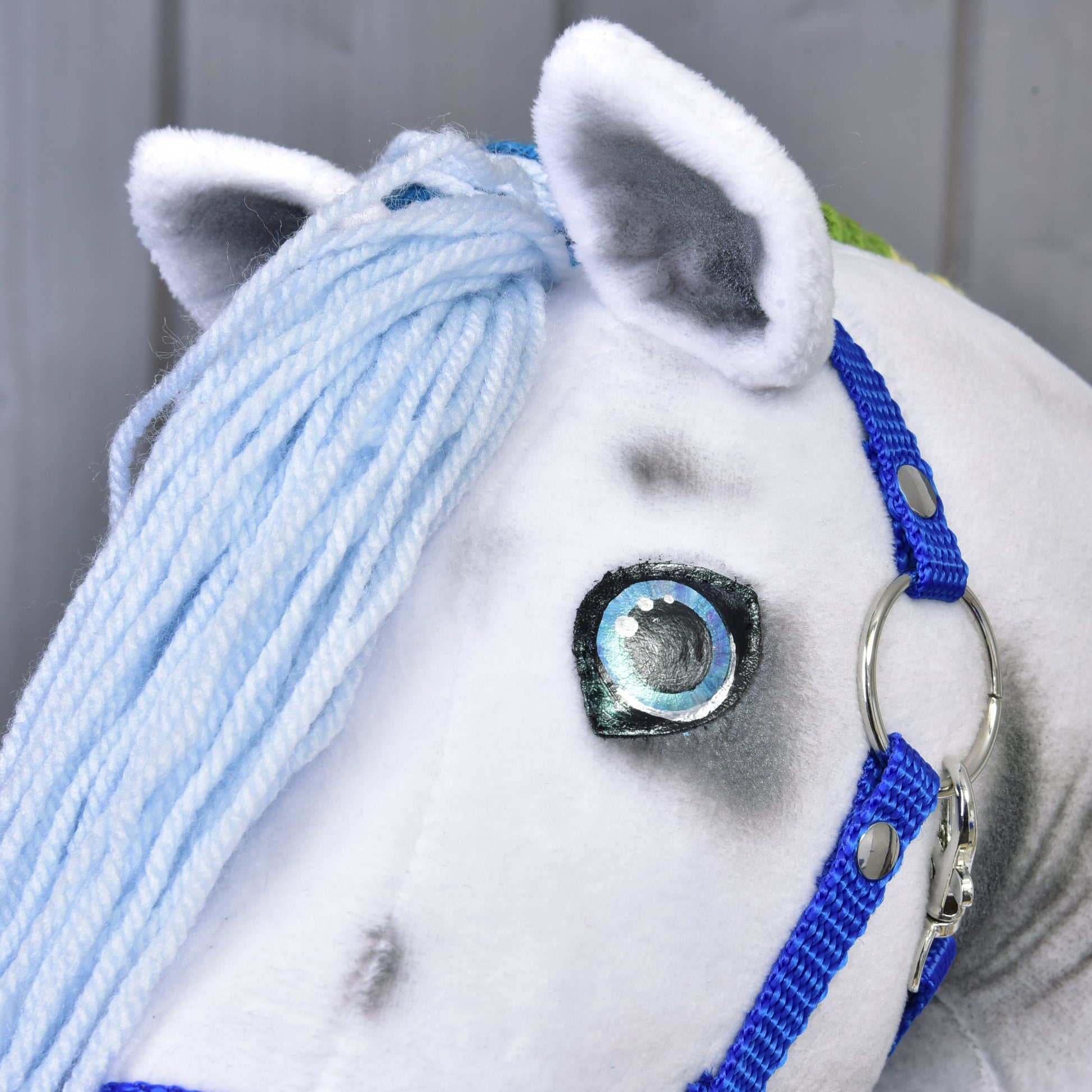 Hobby Horse Arc-en-ciel avec licol bleu