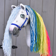 Hobby Horse Rainbow with Blue Halter