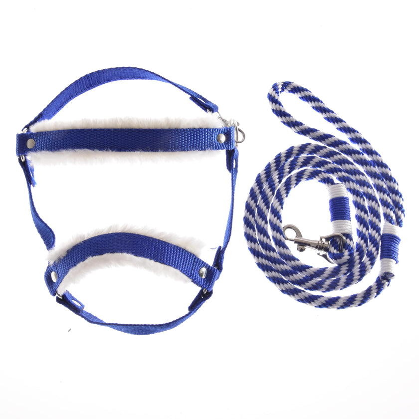 Ensemble Essentiel Bleu