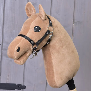 Construis ton cheval