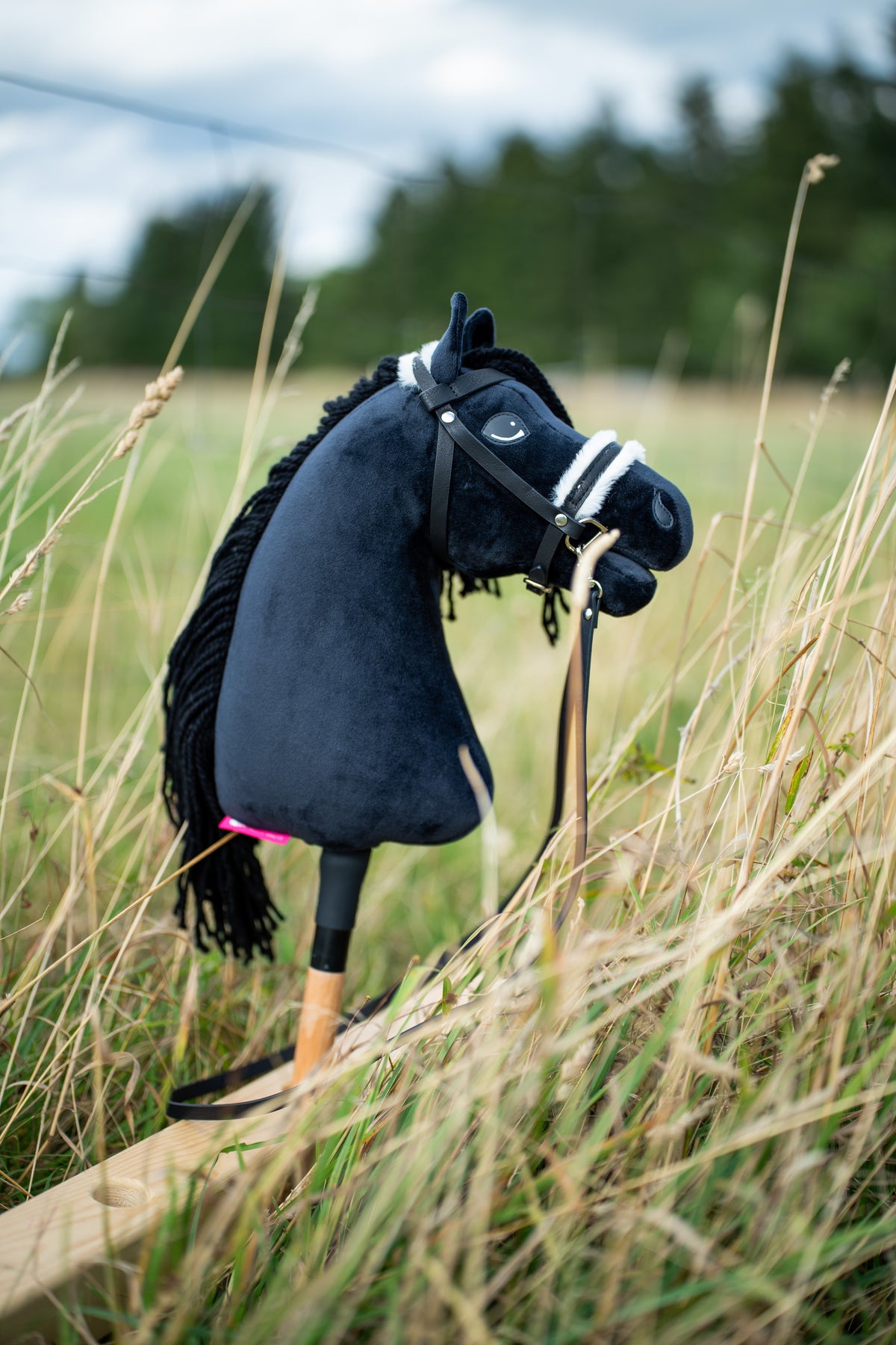 Hobby Horse Mahal avec licol noir dans les hautes herbes d’un pré, ici avec une bride noire à muserolle en fourrure blanche