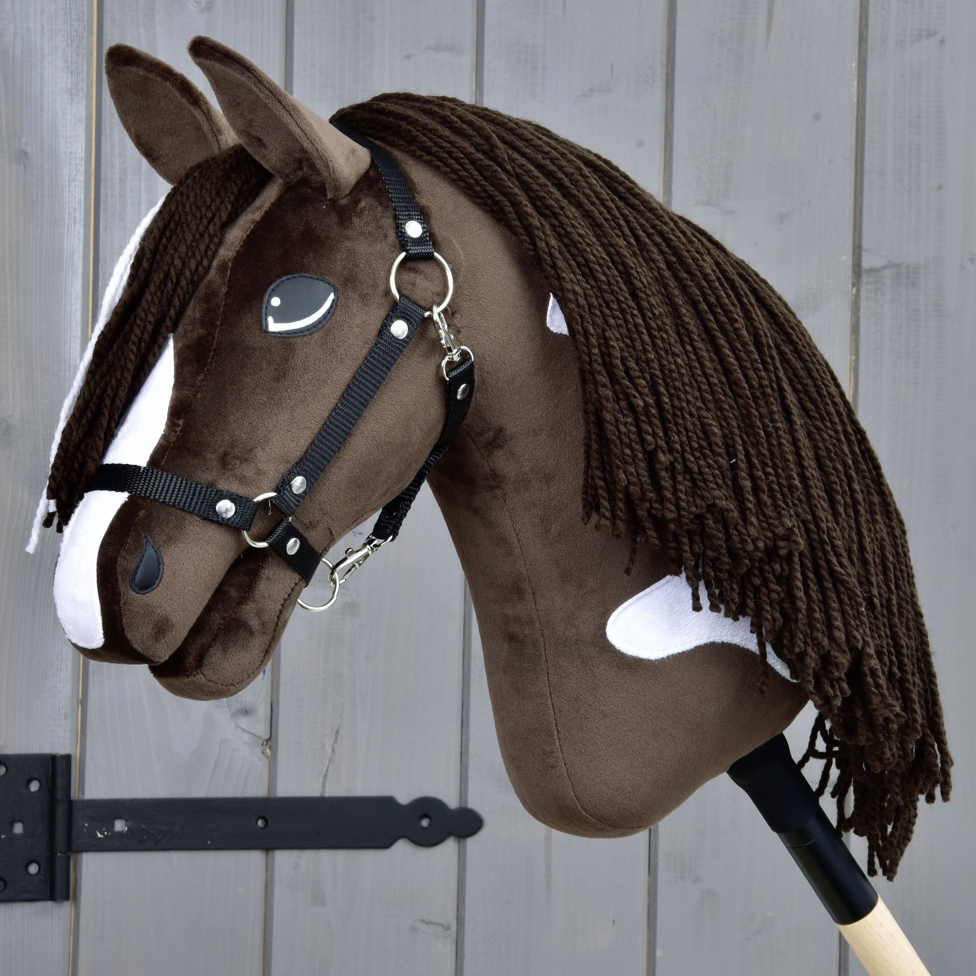 Hobby Horse Monte with Black Halter