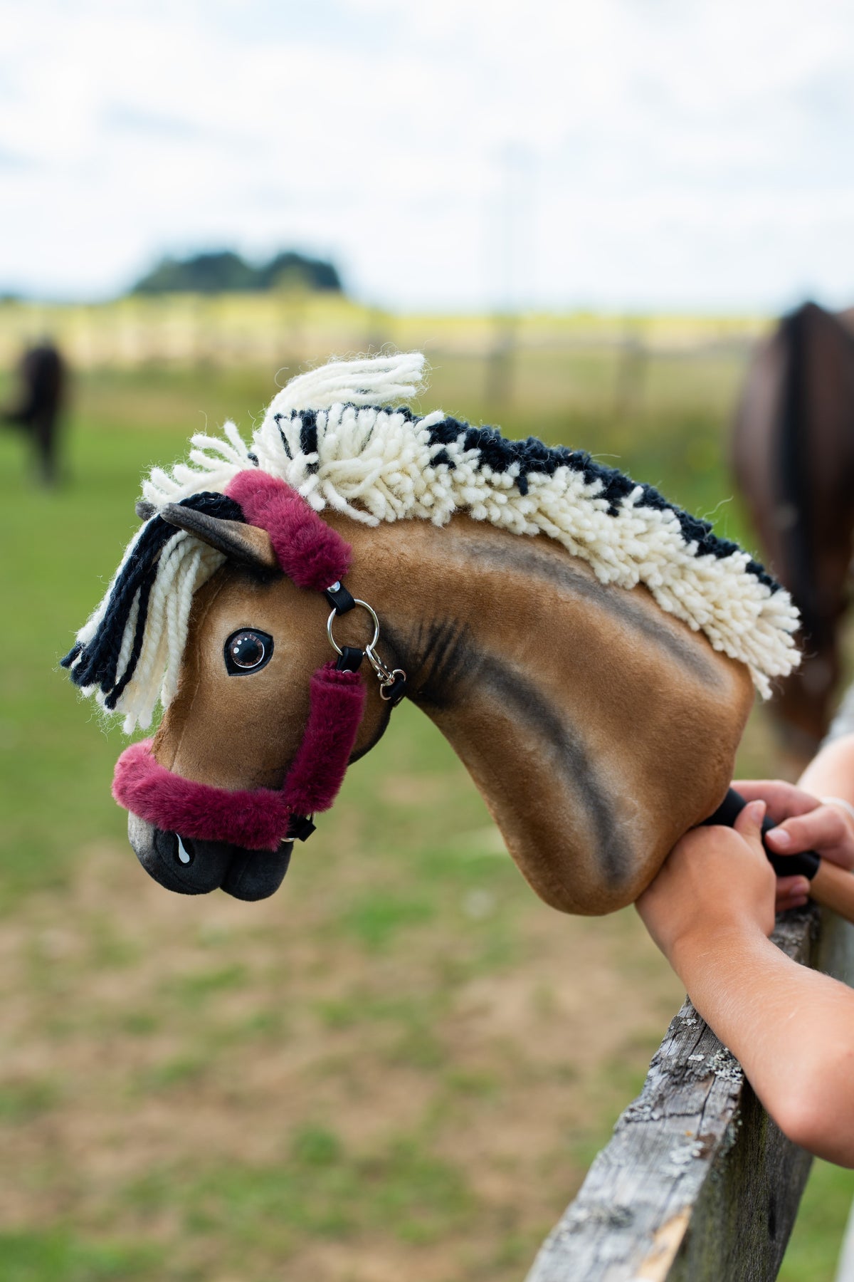 Hobby Horse Ozzy avec licol bordeaux à fourrure posé sur une barrière en bois, de vrais chevaux au paddock derrière