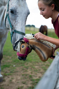 Un vrai cheval gris baisse la tête vers le Hobby Horse Ozzy avec Licol noir de Hobby Horse LarDen, tenu par une fille en haut bordeaux, tête en peluche bai aux ombres foncées et crinière en fil crème et noir, présenté ici avec le licol Teddy Maroon doublé de fourrure