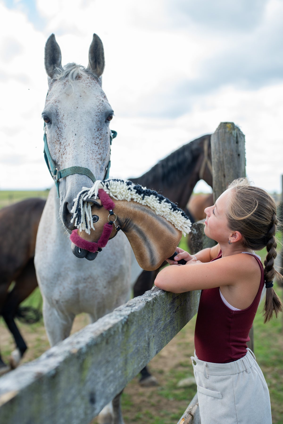 Fille en débardeur bordeaux à la clôture du paddock tendant le Hobby Horse Ozzy vers un cheval gris, chevaux bais derrière