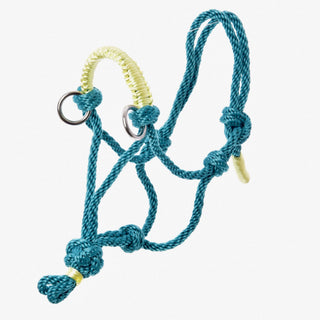 Licou en corde Turquoise