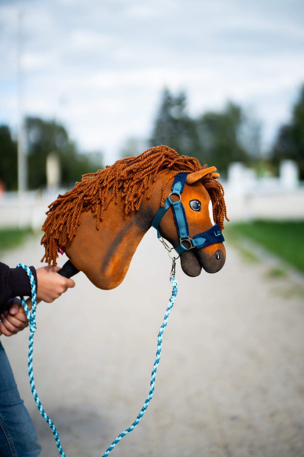 La tête du Hobby Horse Pippa avec Licol noir de Hobby Horse LarDen est tenue près de la carrière, avec la longe bleue suspendue, peluche alezan, crinière et toupet en fil roux, présenté ici avec le licol LarDen Blue doublé de fourrure et la longe Bloom Blue
