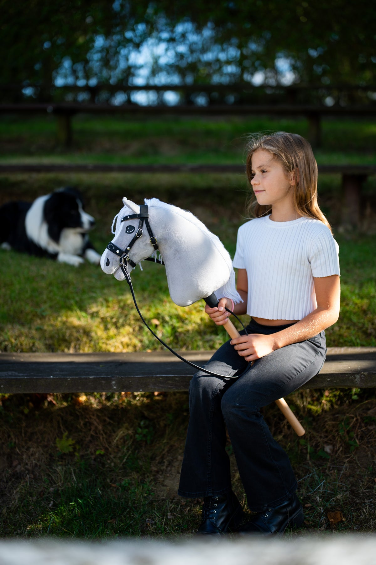 Fille en haut blanc assise sur un banc avec le Hobby Horse gris clair en bride noire, un border collie couché derrière
