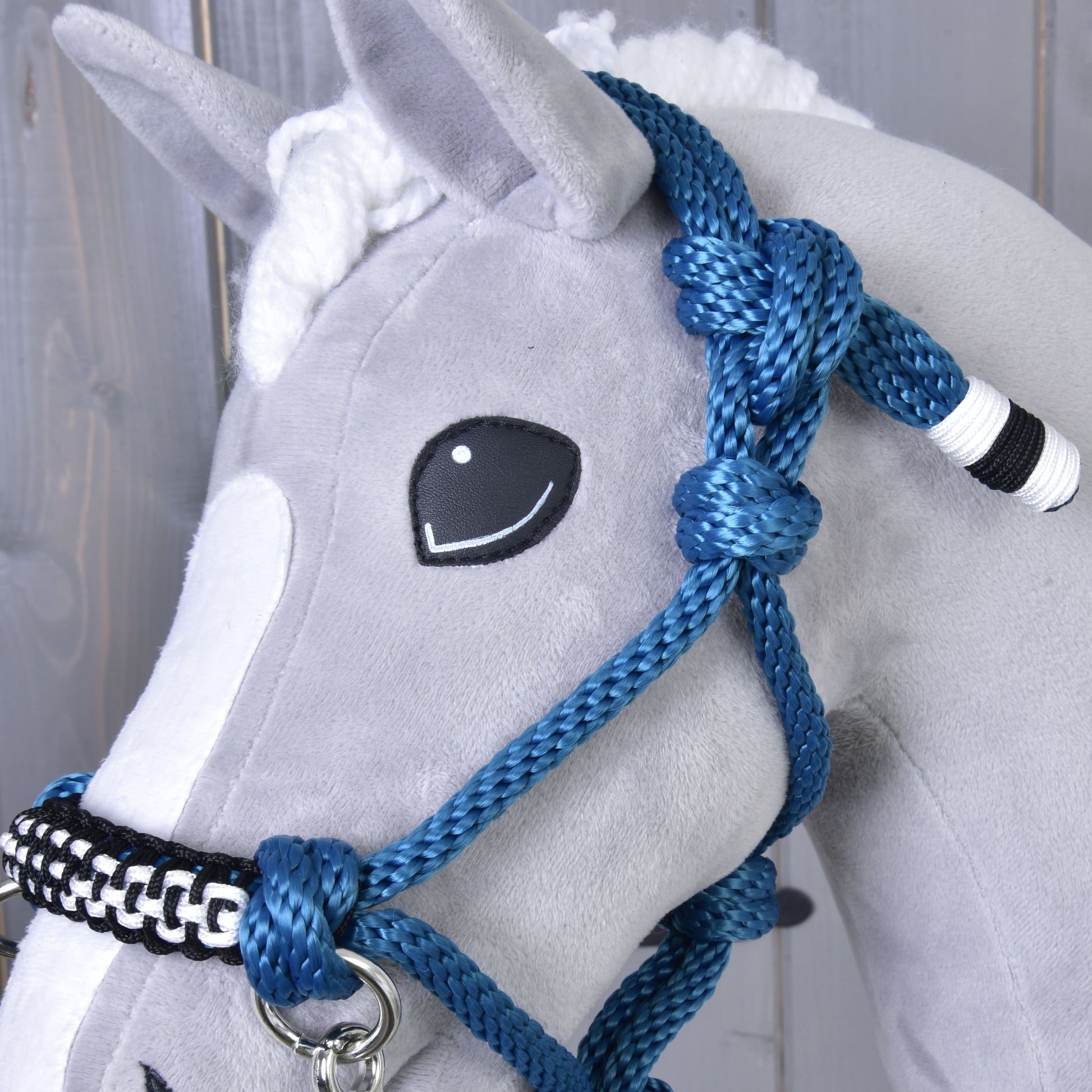 Ensemble de cordes Échecs