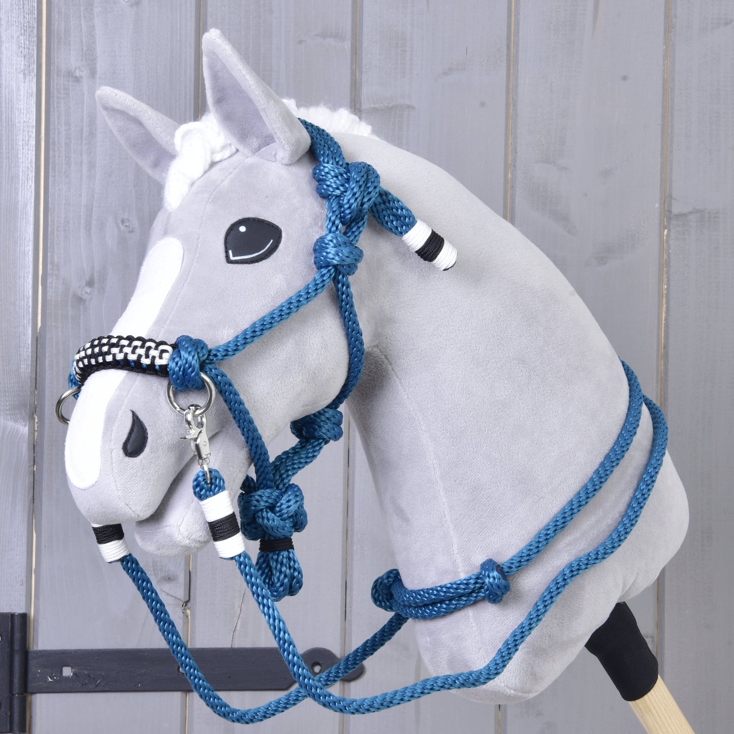 Ensemble de cordes Échecs