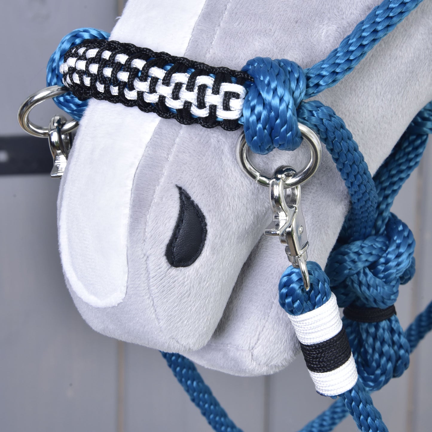 Ensemble de cordes Échecs