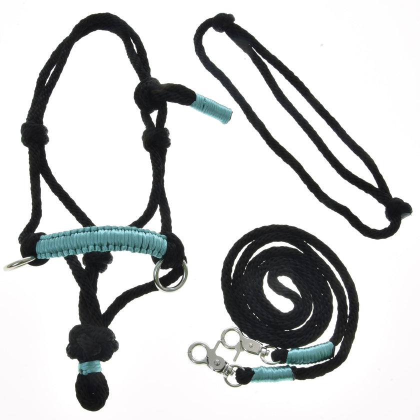 Ensemble de cordes Turquoise