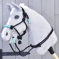 Ensemble de cordes Turquoise