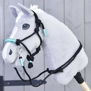 Ensemble de cordes Turquoise