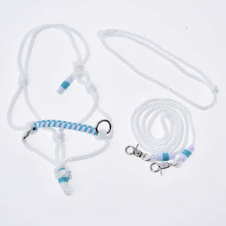 Ensemble de corde Reine Blanche