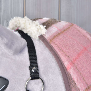 Stable Blanket Lady