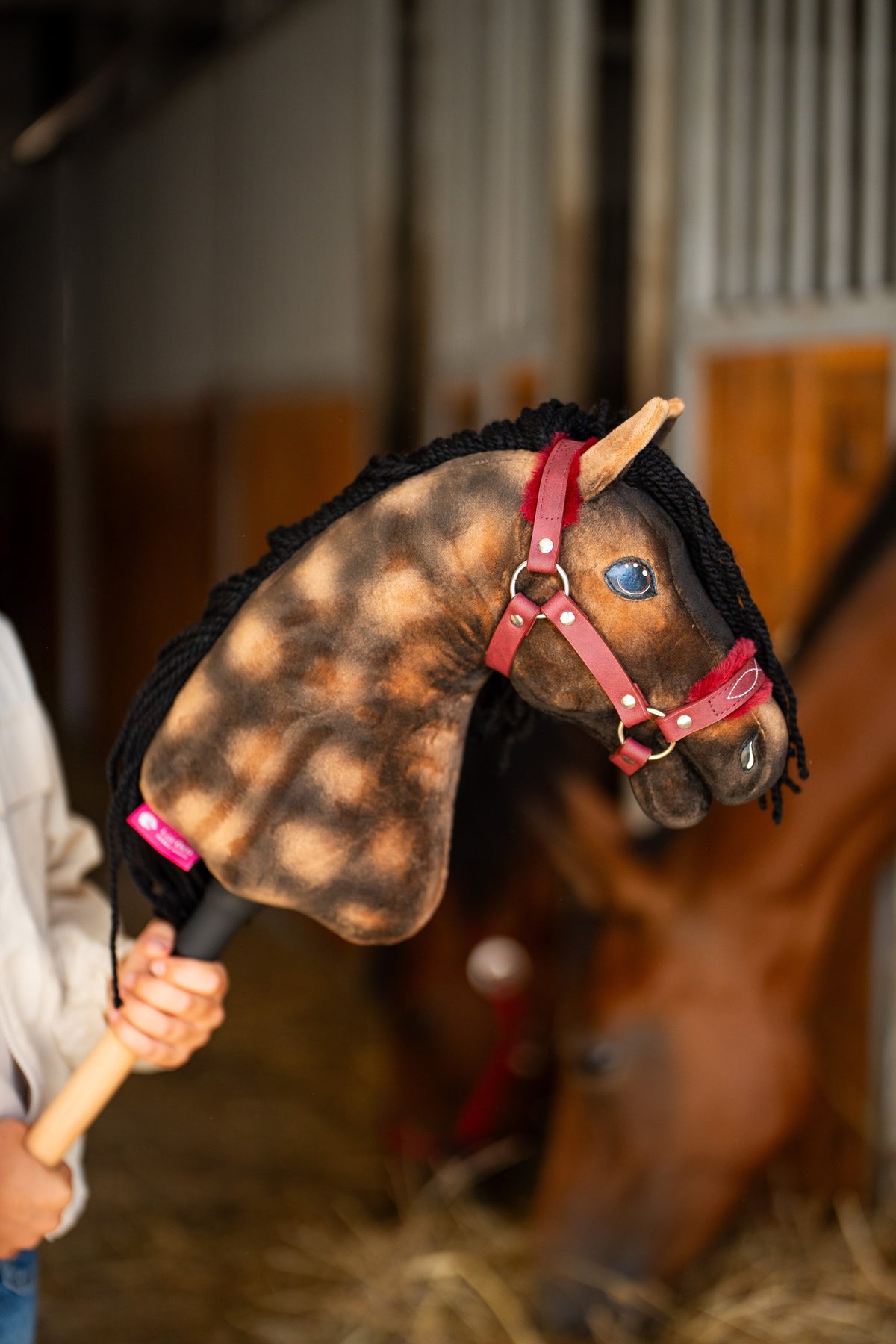 La tête du Hobby Horse Stormy avec Licol noir de Hobby Horse LarDen est tenue dans une écurie, avec un vrai cheval bai flou derrière, peluche marron pommelée, œil bleu et crinière en fil noir, présenté ici avec le licol à fourrure Burgundy en similicuir