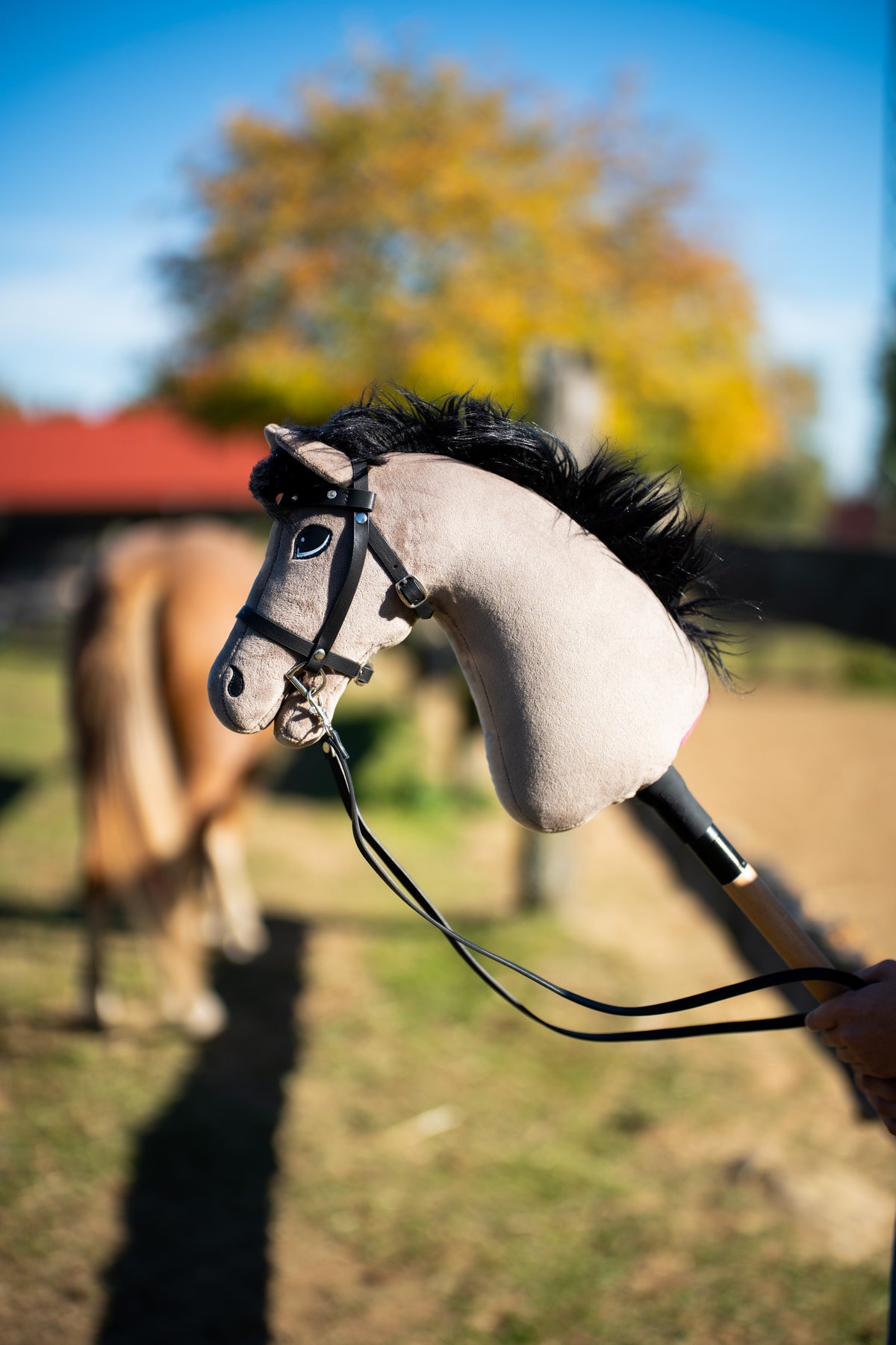Gros plan du Hobby Horse Thor avec bride noire et rênes dans un paddock, un poney et un arbre d’automne flous en arrière-plan