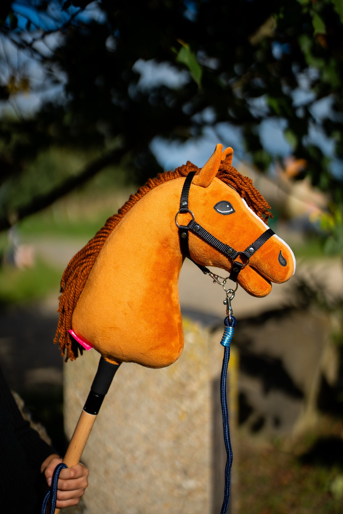 La tête du Hobby Horse Wendy avec Licol noir de Hobby Horse LarDen est tenue dans une chaude lumière du soir, peluche alezan vif, crinière et toupet en fil roux, présenté ici avec la longe Blues à rayures en corde