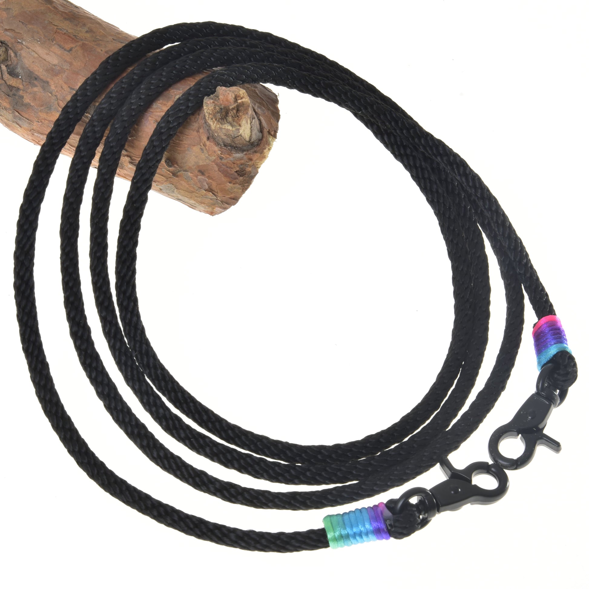 Rênes western Montana