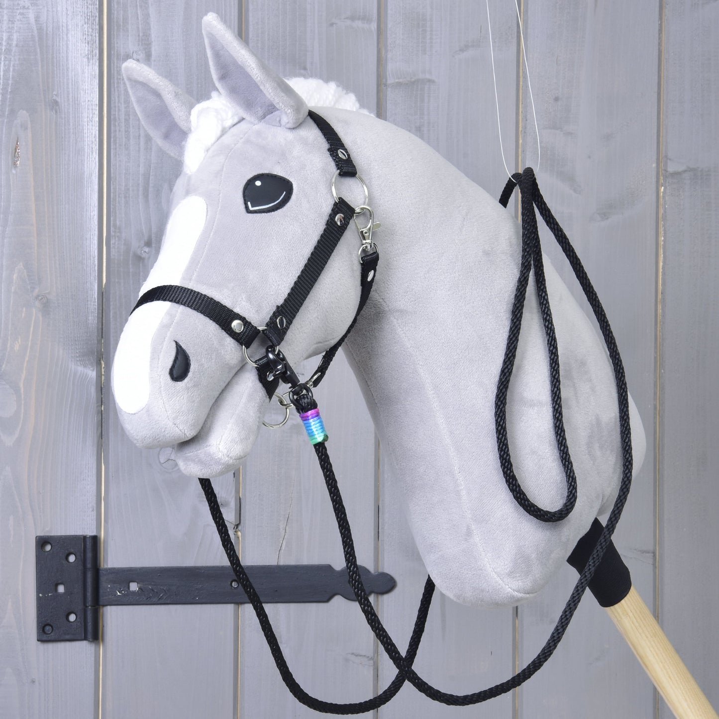 Rênes western Montana