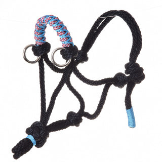 Licou en corde Été