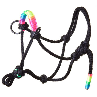 Licou en corde Arc-en-ciel